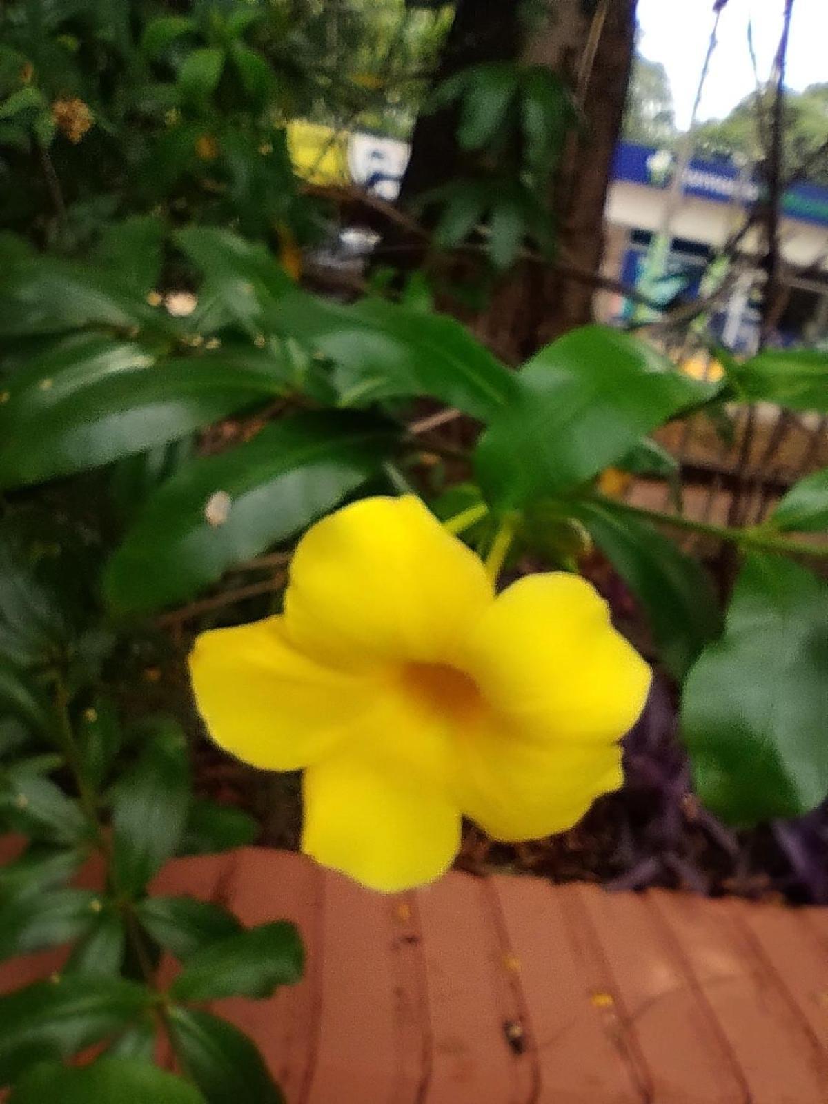 Hosteria La Cabana 푸에르토이과수 외부 사진